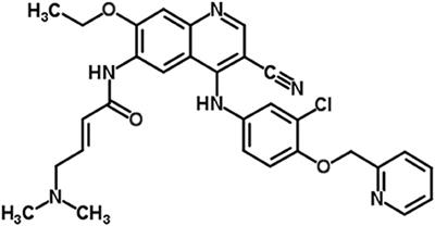 Study of Interactions of an Anticancer Drug Neratinib With Bovine Serum Albumin: Spectroscopic and Molecular Docking Approach